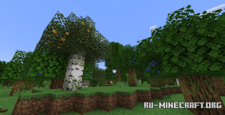  Musgo  Minecraft 1.21.8