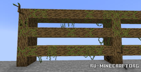  Musgo  Minecraft 1.21.8