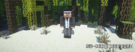  Physical Stats  Minecraft 1.21.8