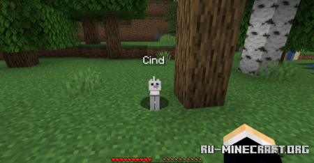  Pet Essence  Minecraft 1.20.1