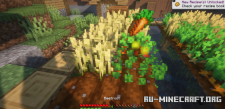  Crops XP  Minecraft 1.21.8