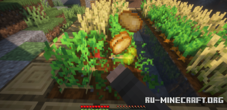  Crops XP  Minecraft 1.21.8