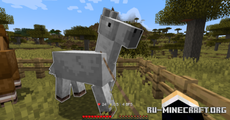  Nice Horse Stats  Minecraft 1.21.5