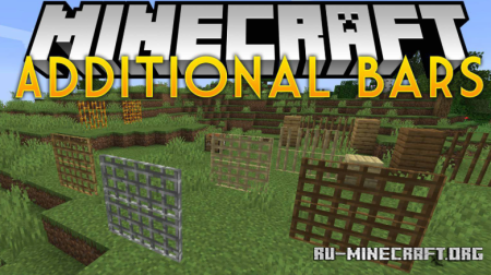  Additional Bars  Minecraft 1.21.8