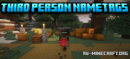  Third Person Nametags  Minecraft 1.21.8