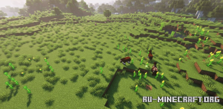  Regrowth  Minecraft 1.21.8