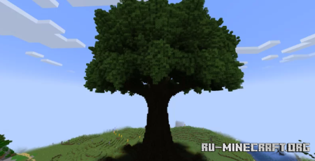 Grand Oak Tree  Minecraft