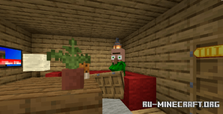    Minecraft PE