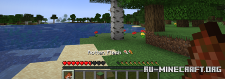  Hunger Preview  Minecraft 1.21.8