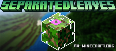  Separated Leaves  Minecraft 1.21.5