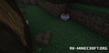  Hamsters Plus Lite  Minecraft 1.20.1