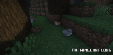  Hamsters Plus Lite  Minecraft 1.20.1