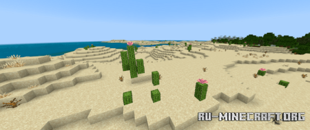     Minecraft PE 1.21