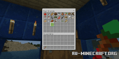      Minecraft PE 1.21