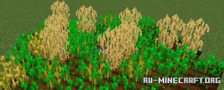  Botanical Aesthetics  Minecraft 1.21.8