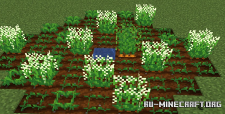  Botanical Aesthetics  Minecraft 1.21.8