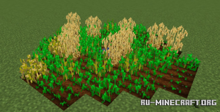  Botanical Aesthetics  Minecraft 1.21.8