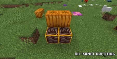  Visible Ancient Debris  Minecraft 1.21.8