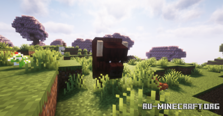  Lets Do WilderNature  Minecraft 1.20.1