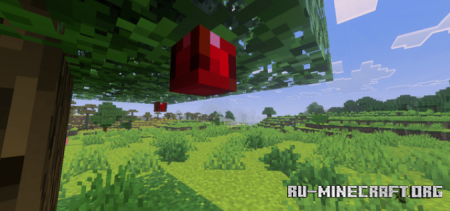      Minecraft PE 1.21