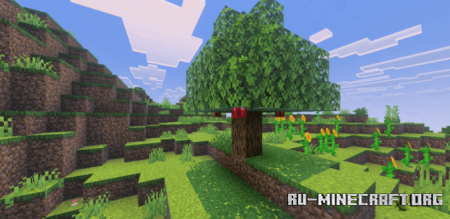      Minecraft PE 1.21