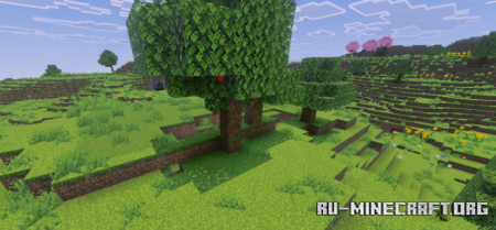     Minecraft PE 1.21