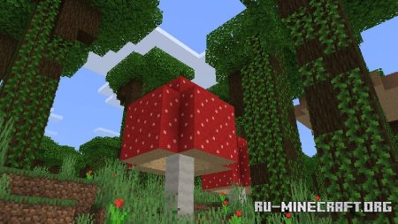    Minecraft PE 1.21