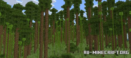    Minecraft PE 1.21