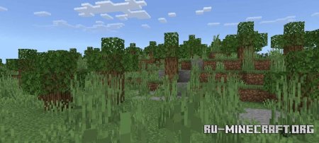    Minecraft PE 1.21
