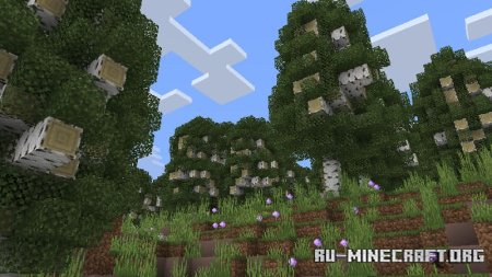    Minecraft PE 1.21