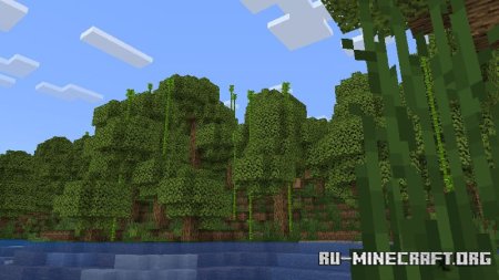    Minecraft PE 1.21