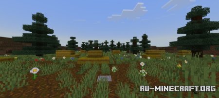  One Shot - 3v3 Archery Deathmatch  Minecraft PE