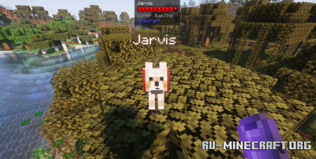  Call Your Dog  Minecraft 1.21.8