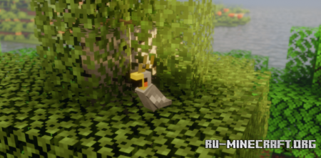  Call Your Parrot  Minecraft 1.21.8