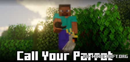  Call Your Parrot  Minecraft 1.21.8