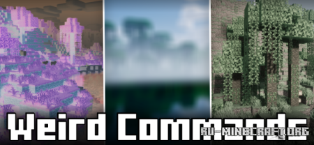  Weird Commands  Minecraft 1.21.8