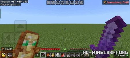      Minecraft PE 1.21