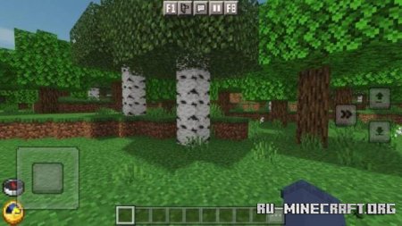     Minecraft PE 1.21