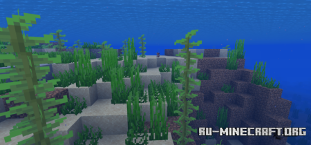  Kelp Animation Remover  Minecraft 1.21.8