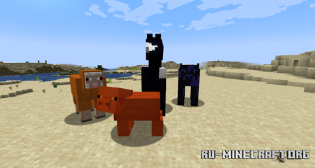  Dye Mob  Minecraft 1.20.1
