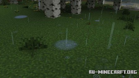        Minecraft PE 1.21