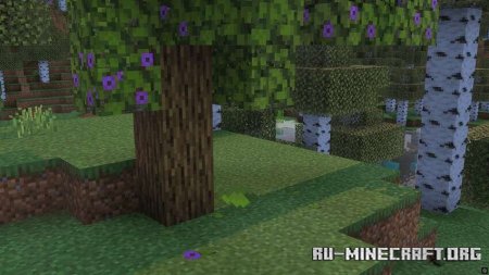        Minecraft PE 1.21