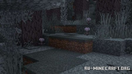        Minecraft PE 1.21