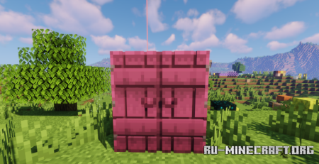  Remodeled Doors 3D  Minecraft 1.21.8