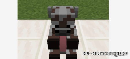      Minecraft PE 1.21