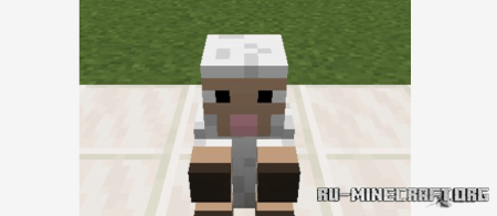      Minecraft PE 1.21