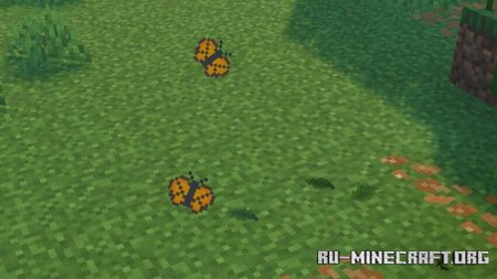     Minecraft PE 1.21