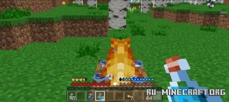    2  Minecraft PE 1.21