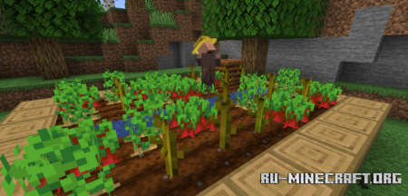  Unloaded Activity  Minecraft 1.21.8
