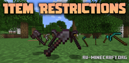  Item Restrictions  Minecraft 1.21.8